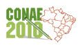 logo CONAE 2010.jpg